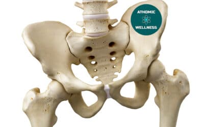 Déséquilibres Musculaires : Impact sur La Lombalgie