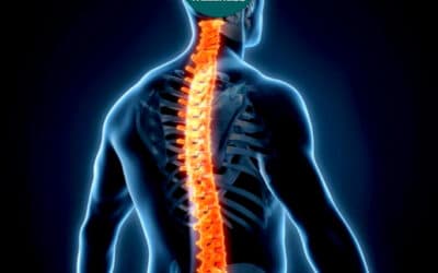 Soulager le mal de dos : causes de la lombalgie