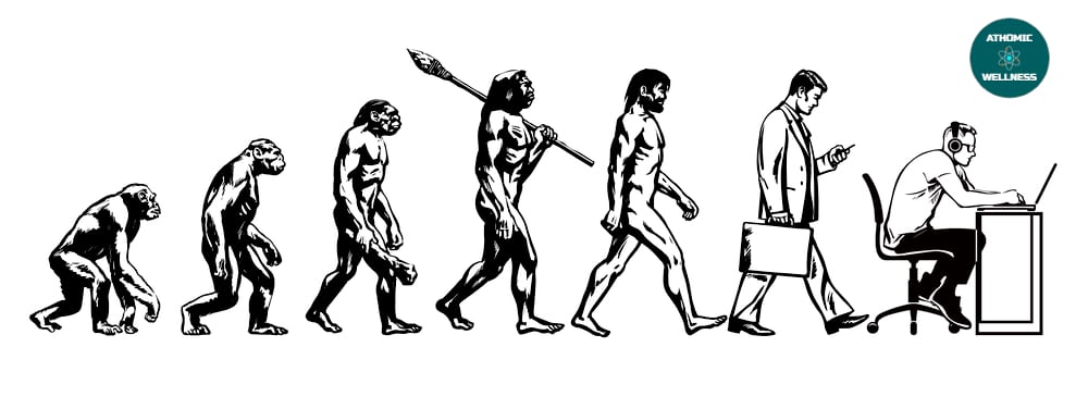 Neandertal - Théorie évolution humaine Théorie de l'évolution humaine - Neandertal