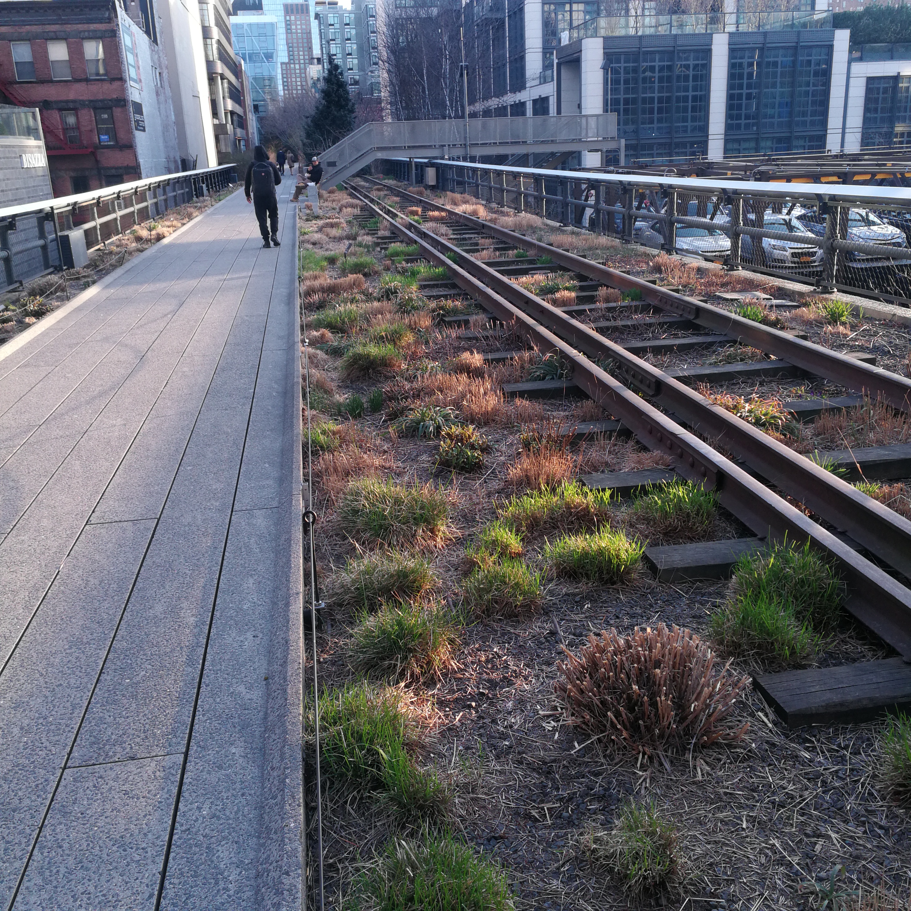 Végétaux et voie ferrée sur la High Line - New York City Voie ferrée de la High Line - Manhattan
