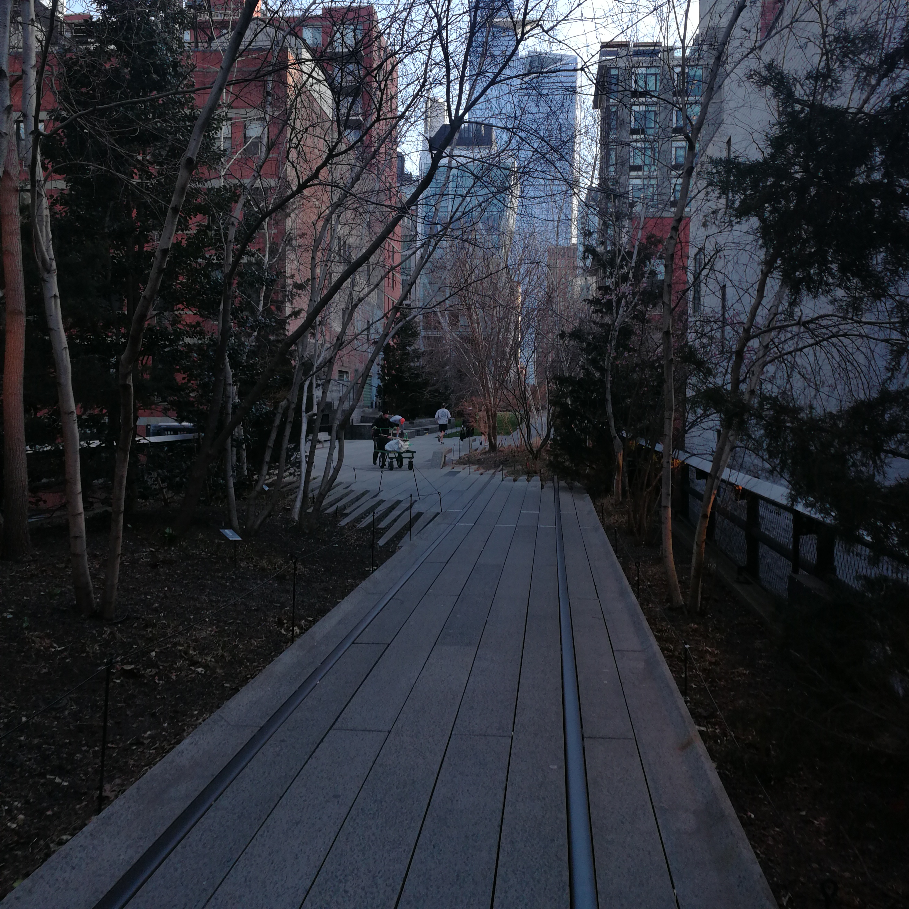 The High Line - promenade suspendue dans Manhattan Promenade végétale sur la High Line