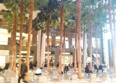 Palmeraie centre commercial Brookfield Place