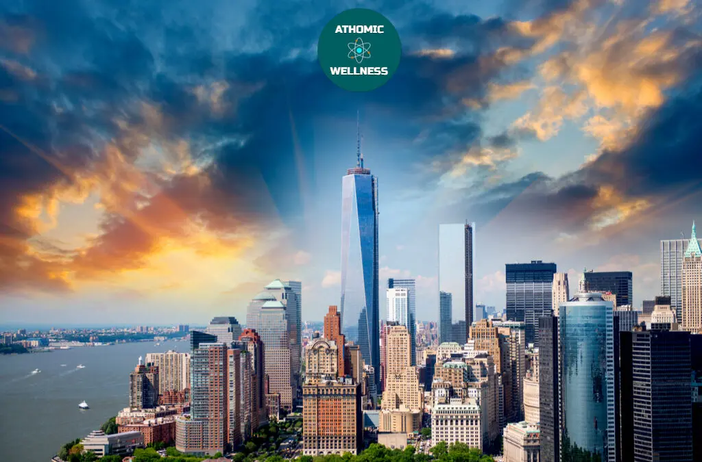 Photo panoramique d'une vue de Manhattan avec Battery Park et le financial district. On y observe aussi Hudson River
