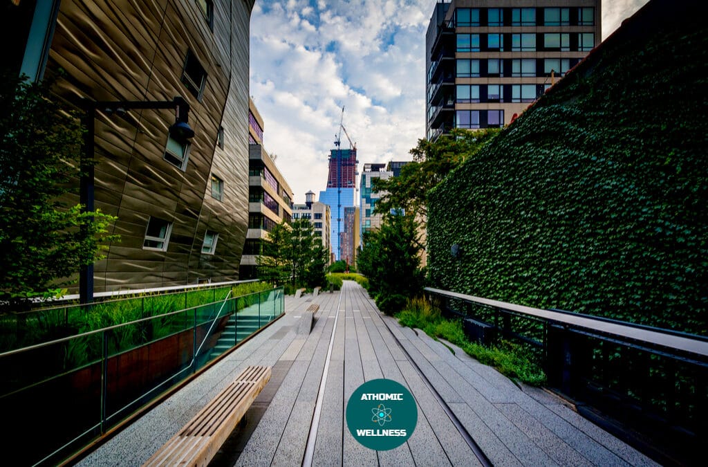 Découvrir Manhattan en courant – The High Line