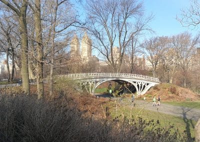 Photo du Gothic Bridge in Central Park