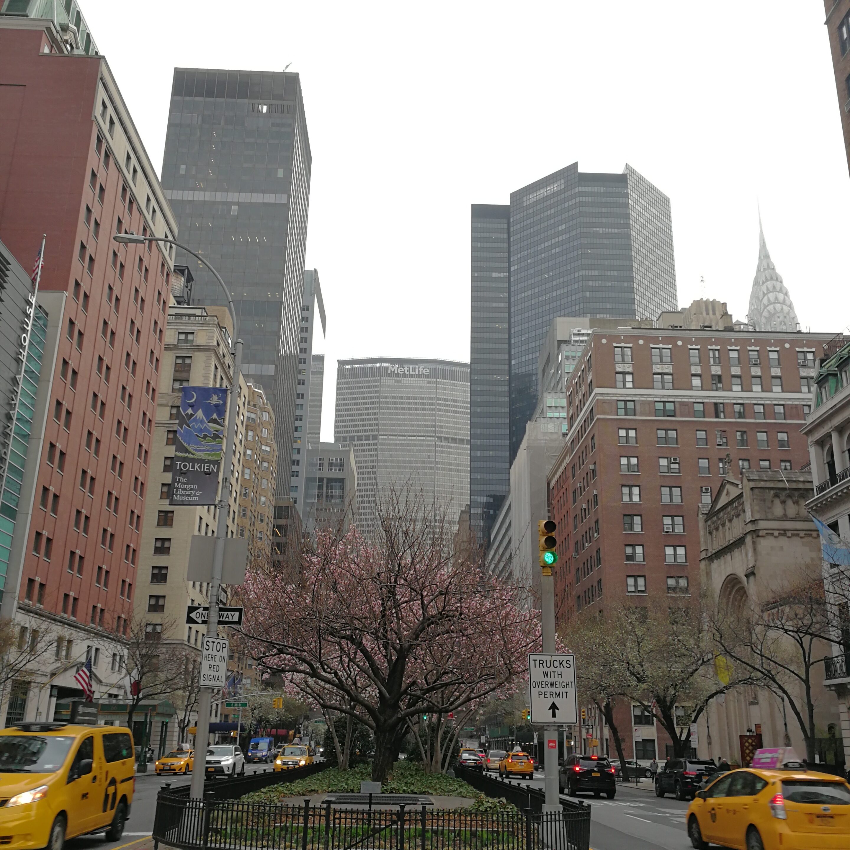 MetLife Building depuis Park Avenue Magnolias sur Park Avenue
