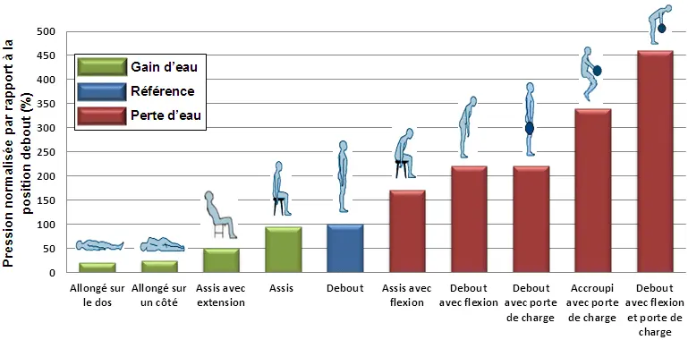 Diffusion de l'eau dans les disques intervertébraux