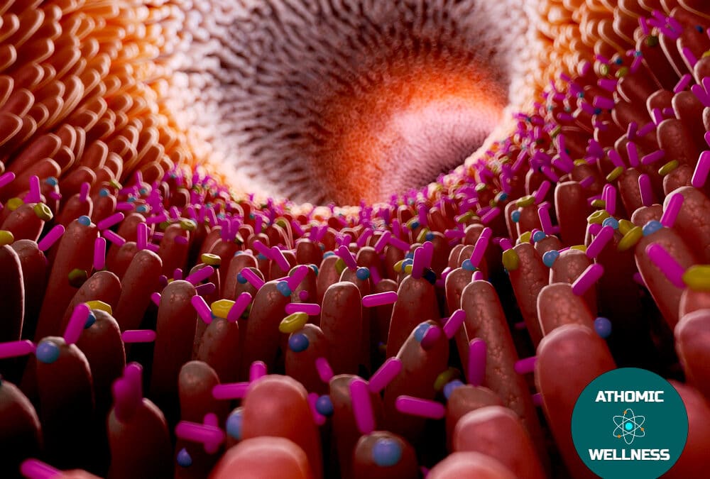 Quels sont les principaux dysfonctionnements immunitaires ?