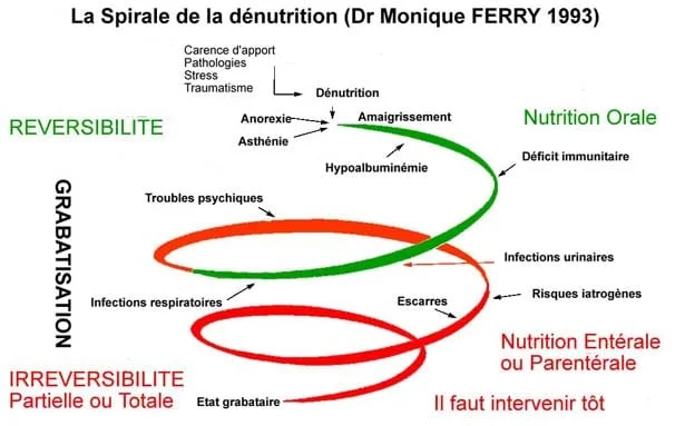 Spirale de la dénutrition Spirale de la dénutrition